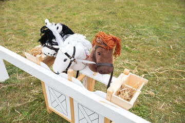hobbyhorse on the farm
