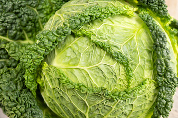 Fresh savoy cabbage