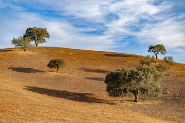 Beautiful Landscape at Atentejo Portugal