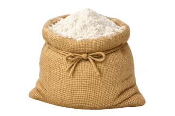 Burlap sack of white flour, a baking ingredient, full of wheat grain product, ready for cooking and pastry arts