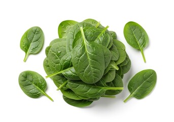 Fototapeta premium Fresh baby spinach leaves are piled centrally on a clean white background