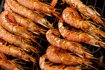 Grilled Prawns on Hot Barbecue
