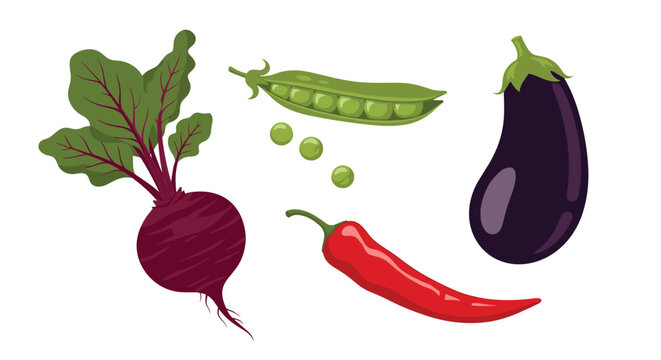 Assorted fresh vegetables including a beetroot, green pea pod, red chili pepper, and purple eggplant isolated on white background for cooking.