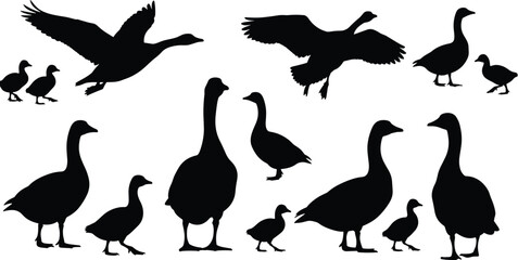 Goose silhouettes, black waterfowl set, flying geese poses, farm bird collection, wildlife lake animals, nature countryside illustration, vector clipart pack © Bappi Creatives