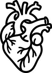 Obraz premium Anatomical heart line drawing for medical design or healthcare concepts