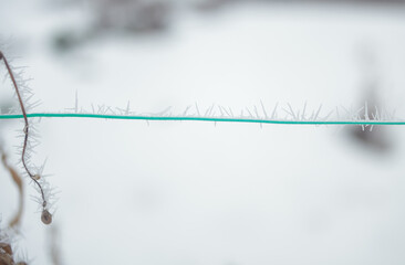 turquoise wire covered with white frost needles