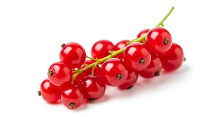 Fresh red currants on a green stem against white background