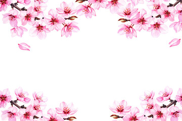 Spring Japanese Cherry blossom flower background vector. Sakura floral Wallpaper design of elegant watercolor cherry blossom flower, branch. Illustration for banner, wall decoration, backdrop, ads. © Adorabella