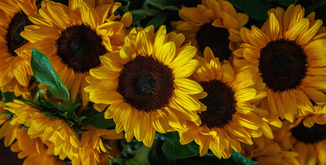 Sunflower bouquet with dense blooms