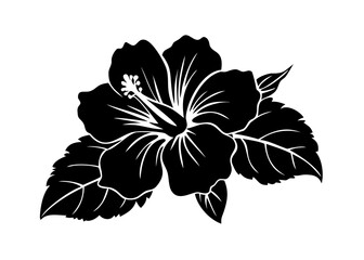 black and white flower isolated