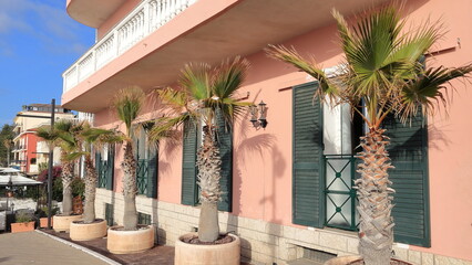 Palme davanti una casa in Liguria