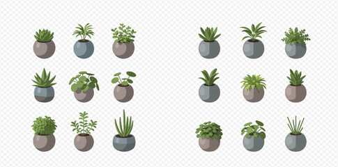 Set of various potted houseplants, including succulents, cacti, and leafy greens, in decorative pots, isolated on a transparent background. © MuammarAuliyan