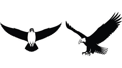 Obraz premium Majestic bald eagle in flight two views presented as a striking silhouette