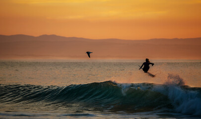 Fototapeta premium Silhouette of an airborne surfer at sunrise with a gull passing