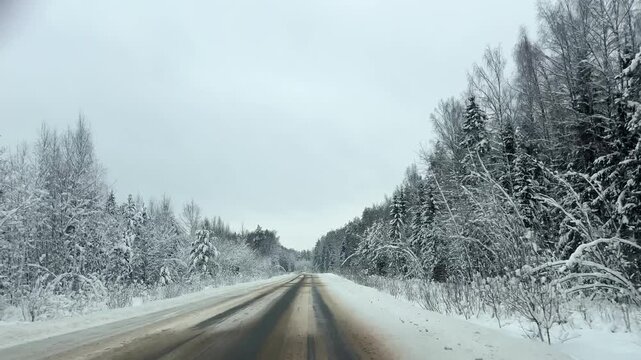 Front view driving plate on empty snowy road curving through snow covered forest under overcast sky