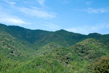 晴れた日の山の風景