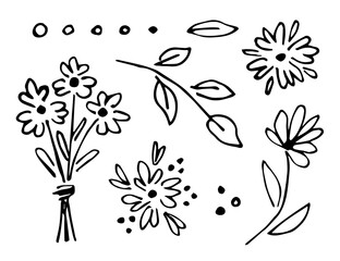 Ink sketch, vector drawing with black outline. Set of floral elements. Cute bouquet of daisies, flowers, branches with leaves. Plants and nature.