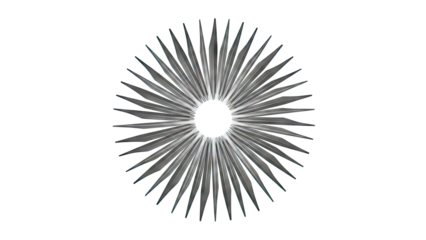 Radial Arrangement of Dark Spiked Shapes
