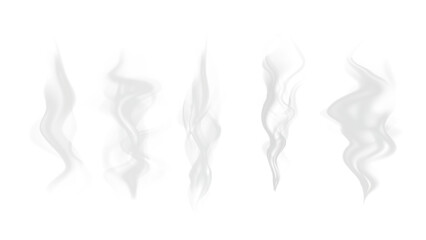 Realistic steam or smoke on hot tea, coffee, food. PNG Stock royalty free.  © Vector light Studio
