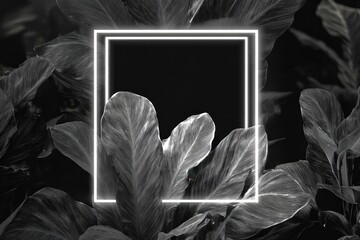 Black and white photo of tropical leaves framing a glowing square