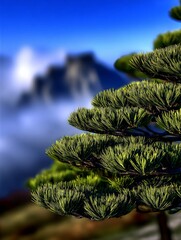 Views of Huangshan with a pine tree in the foreground