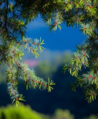 Scenic view of pine branches surrounding Huangshan mountain area