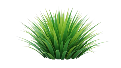 Lush Green Bush of Grass