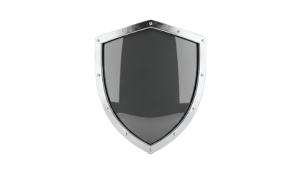 Polished Metal Kite Shield with Dark Center