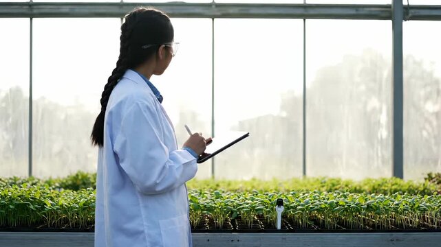 Woman scientist records seedling data in greenhouse using tablet technology. Female researcher checks seedling growth with tablet. Scientist monitors greenhouse plants. Woman writes seedling data.