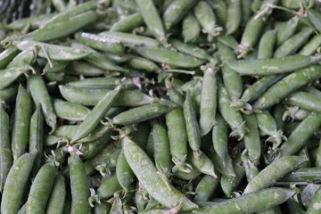 Fototapeta premium Fresh green peas piled in pods