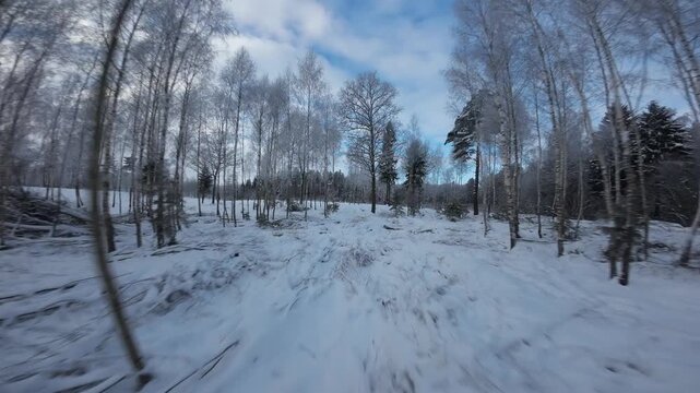 Smooth FPV drone flight above leafless deciduous trees covered in frost and snow. Captures a serene, overcast winter atmosphere with delicate icy branches and soft motion.