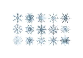 Snowflake ornament collection featuring various icy blue and white snowflake designs isolated on black background. Elegant winter and Christmas decorative 