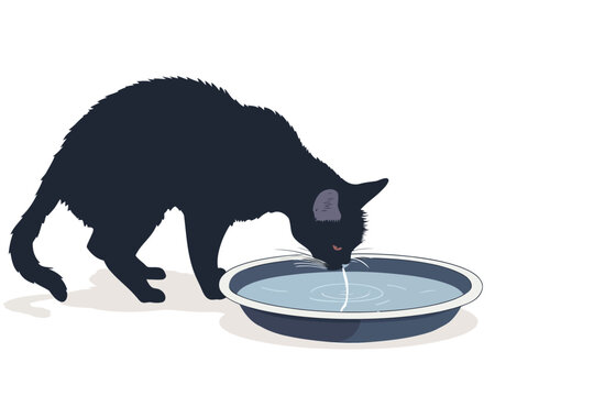 Cat Drinking from pet Fountain stock image isolated vector style