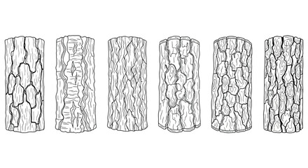 Series of tree trunks with distinct bark patterns © Nur
