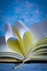 Open note book with two heart shaped pages isolated with copy space