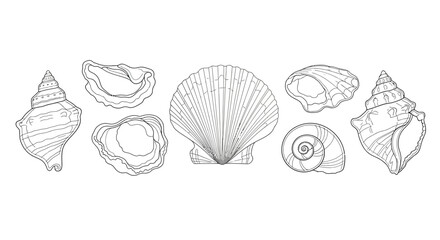 Collection of various shells