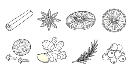 Collection of spices and herbs