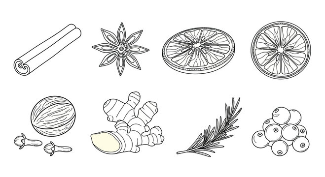 Collection of spices and herbs