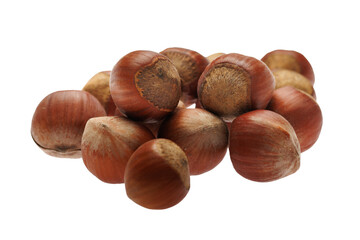 Obraz premium Hazelnut isolated on transparent background