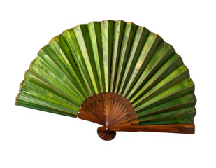 Green Folding Hand Fan with Wooden Spokes.