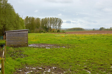 Rustic wooden shed nestled in a lush green field with muddy patches, leading to distant agricultural land under a cloudy sky. A peaceful countryside view.
