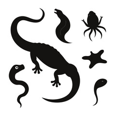 vector illustration of a dinosaur © RF1999