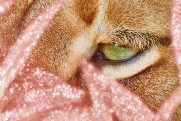 Tranquil Lioness Close-Up Pixel Pink Glitch Purple Neon Mint Tones for Modern Nature and Wellness Content