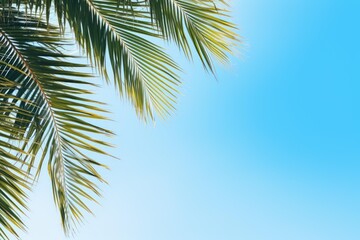 Naklejka premium Palm fronds with green foliage against a clear gradient sky, offering copy space