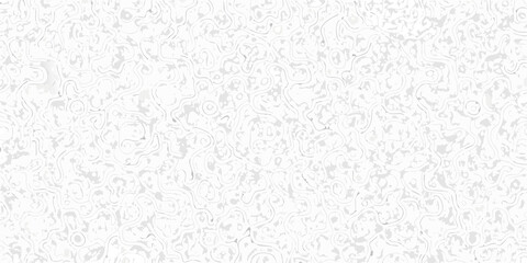 Obraz premium Intricate abstract white pattern with swirling lines and organic shapes