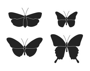 Butterfly collection. Black white illustration. Butterflies clipart set.Set of black and white line butterflies. Symbols