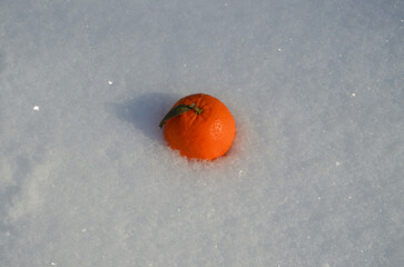 orange in the snow