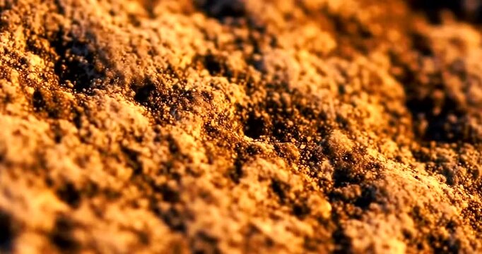 Close up macro shot of ground spices with warm lighting and shallow depth of field.