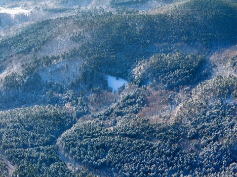 Aerial view of a snow-dusted forest blankets the undulating hills, a serene tableau of winter's embrace, Orschwiller, Grand Est, France.