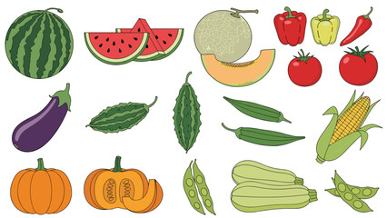 Fototapeta premium Diverse collection of fresh summer vegetables and fruits including watermelon, melon, peppers, pumpkin, and corn are illustrated on white.